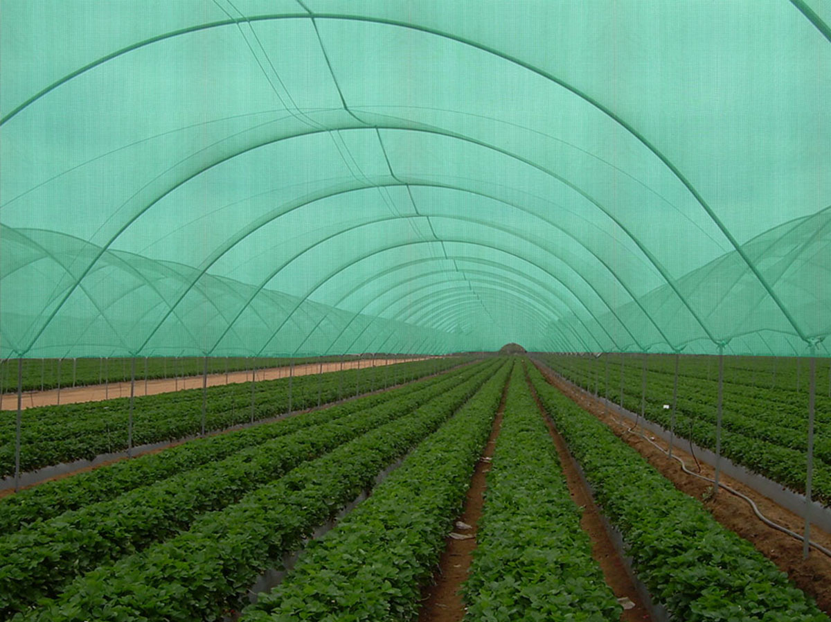 Farming Covering Net